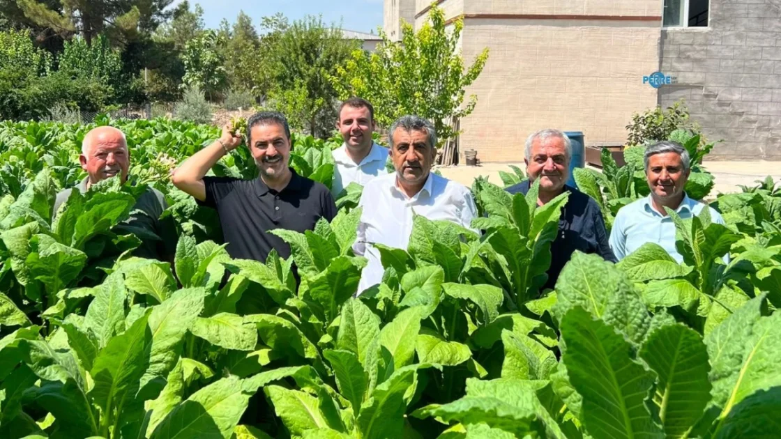 Yeniden Refah'tan Adıyaman Tütün Üreticisine Destek Sözü
