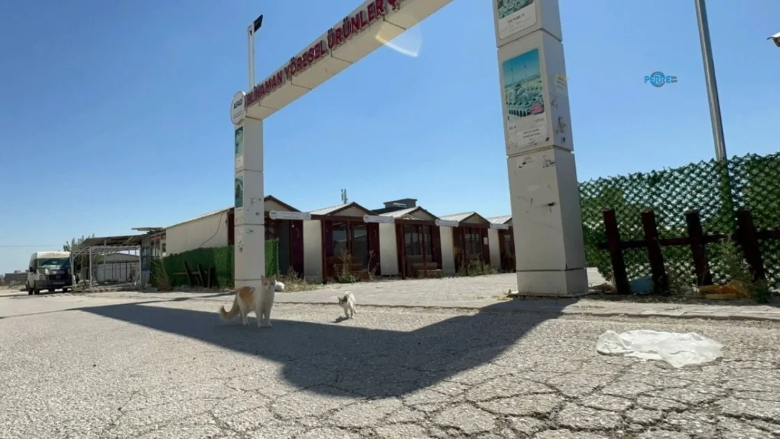 Adıyaman'da Konteyner Kentlerdeki Sokak Hayvanlarına Destek