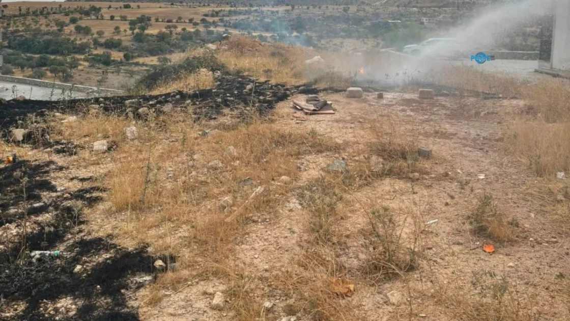 Besni'de Anız Yangını Binalara Sıçramadan Söndürüldü