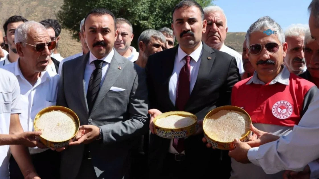 Karagöl'de Bal Hasadı Coşkusu: Adıyaman Arıcılığı Markalaşıyor