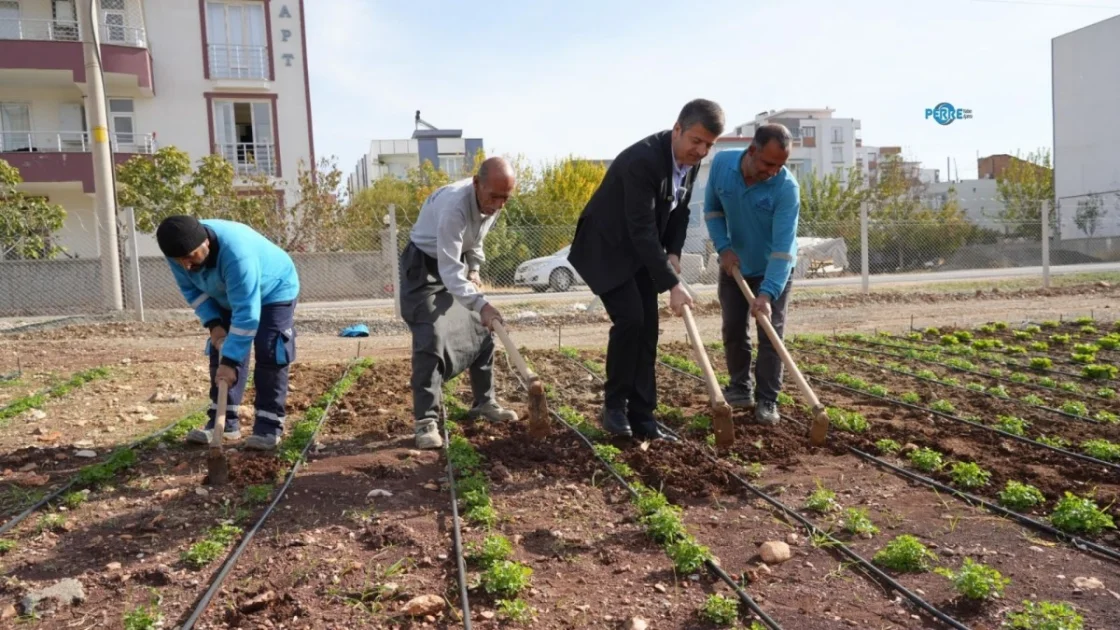 Adıyaman Belediyesi'nden Yaz Dönemi Üretim Atağı: Uygun Fiyatlı Gıda