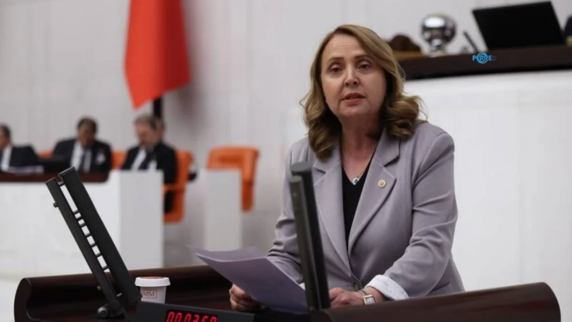 Semra Dinçer: Yüz Binlerce Otizmli Çocuk Eğitim Dışında Kalıyor