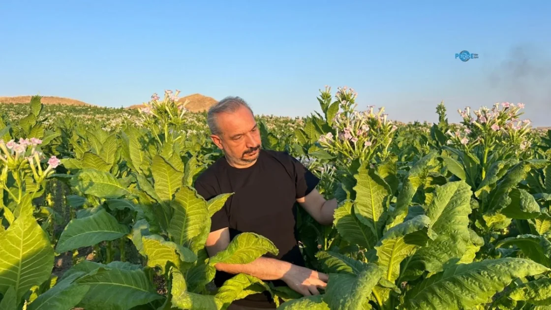Adıyaman'da Badem ve Tütün Üreticilerinden Fiyat ve Destek Çağrısı Yükseldi