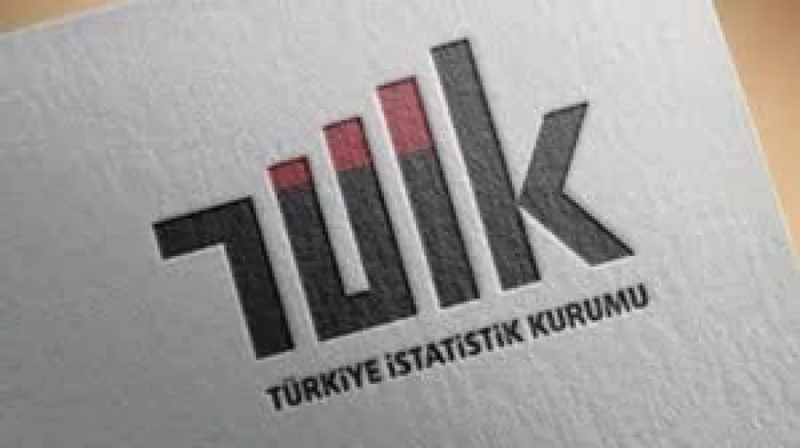 Ağustos 2026 İşsizlik Geriledi, Atıl İşgücü Arttı: TÜİK Açıkladı