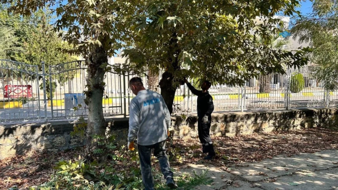 Adıyaman Eski Mezarlık'ta Kapsamlı Bakım ve Temizlik Başladı