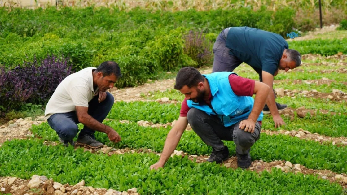 Adıyaman'da Kadın Kooperatifi ve Belediyeden Sonbahar Üretim Mesaisi