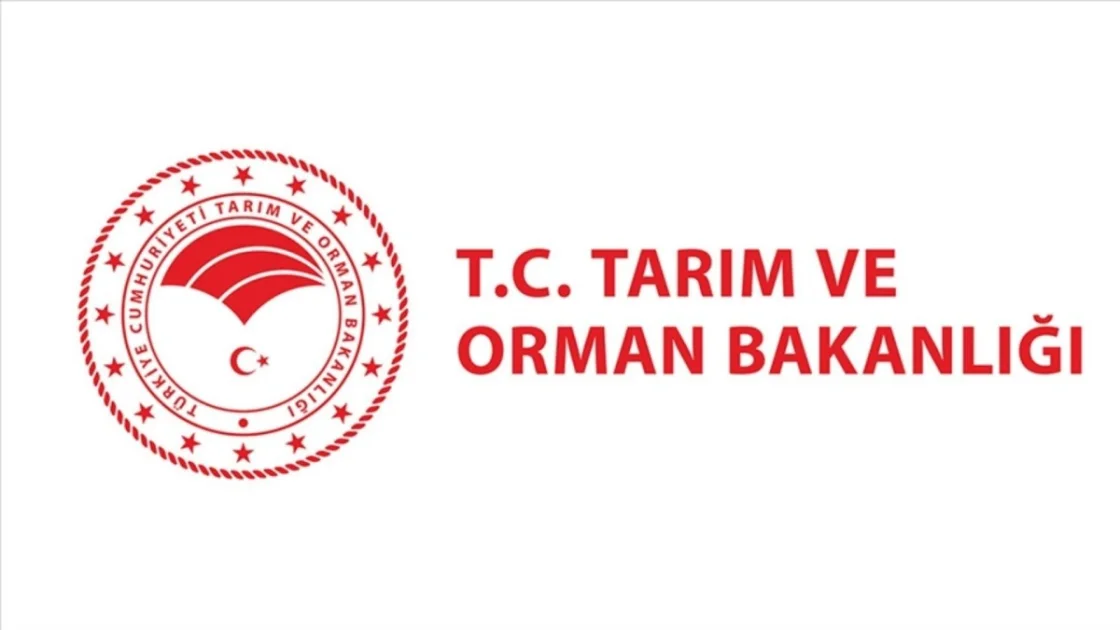 Alkollü İçecek Reklamlarına Yeni Düzenleme Geldi