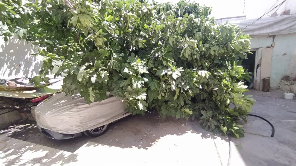 Adıyaman'da Park Halindeki Aracın Üzerine Ağaç Devrildi