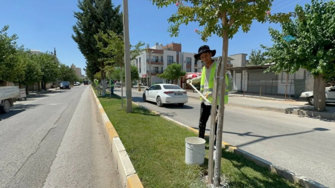 Başkan Tutdere'den Adıyaman'ın Yeşil Dokusuna Kireçleme ve Budama Hamlesi