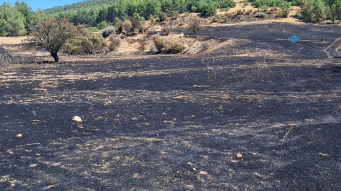 İpekli Köyü Derneği'nden Yangın Açıklaması: Ortak Sorumluluk Vurgusu