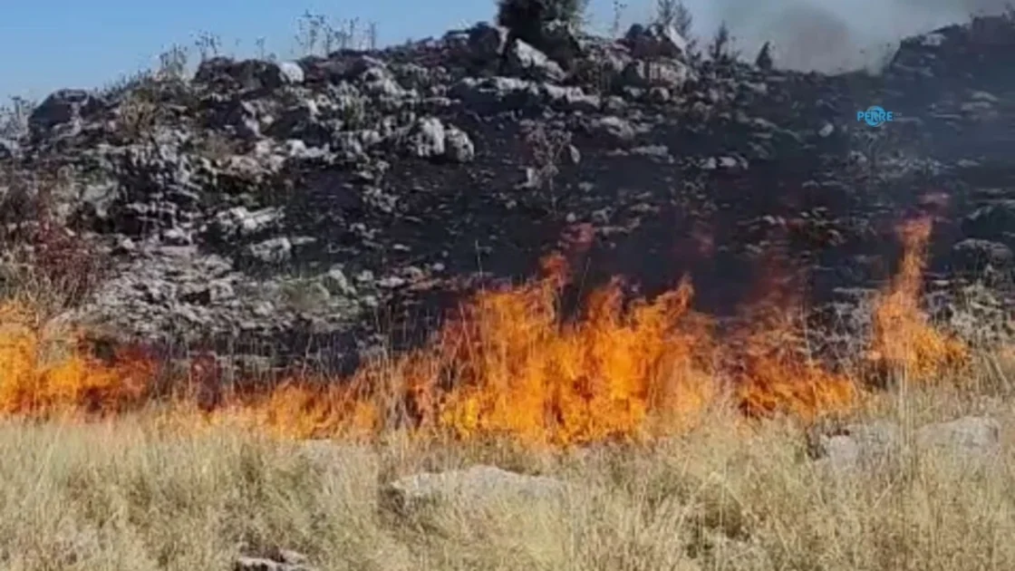 Adıyaman'da Büyük Yangın: Ekipler Seferber Oldu